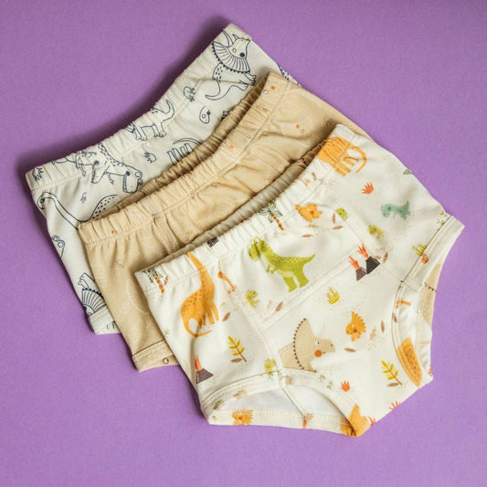 Dinosaur Potty Training Pants SIZE-4  (3 Pack)