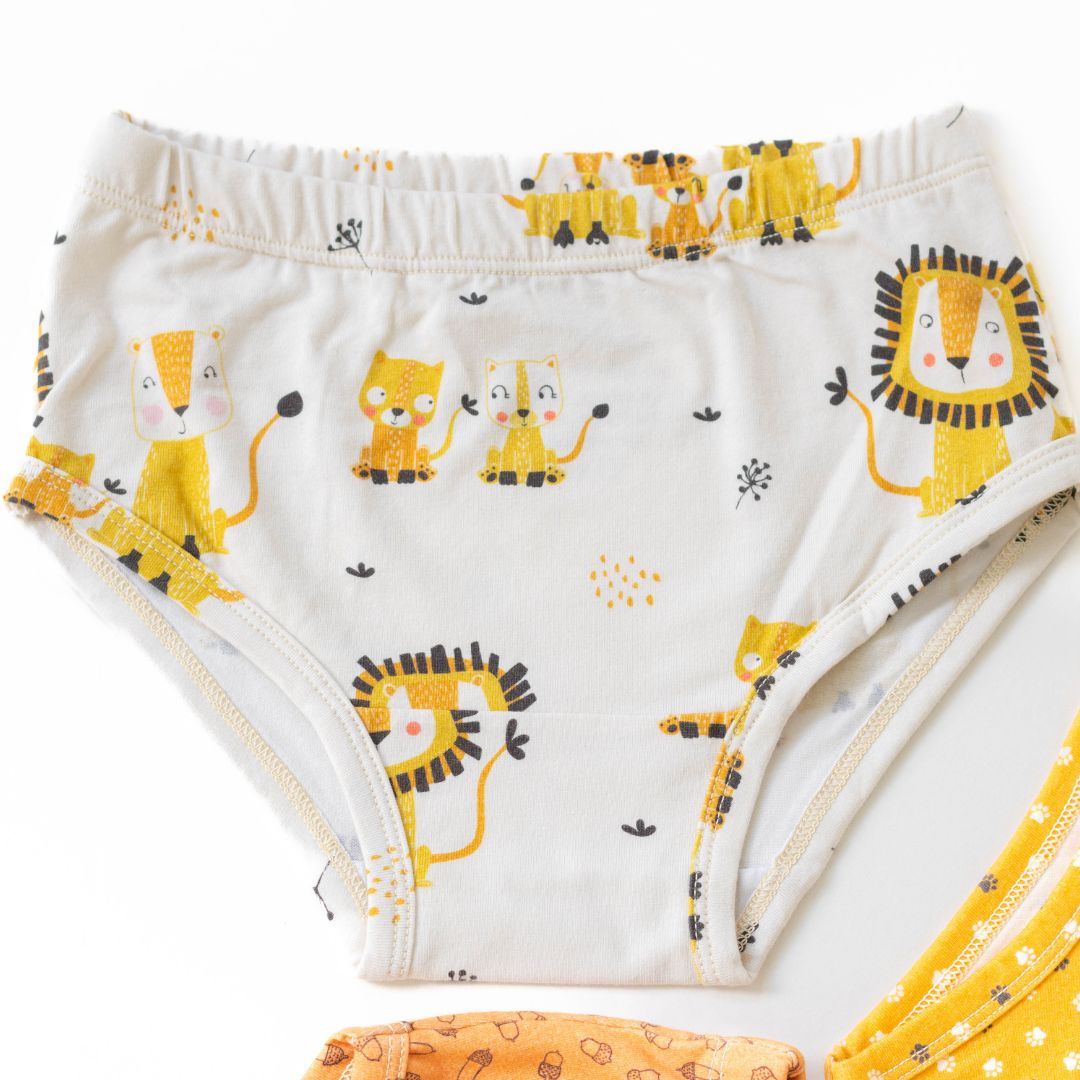 Autumn Collection - Organic Cotton Undies for Girls (3 Pack)