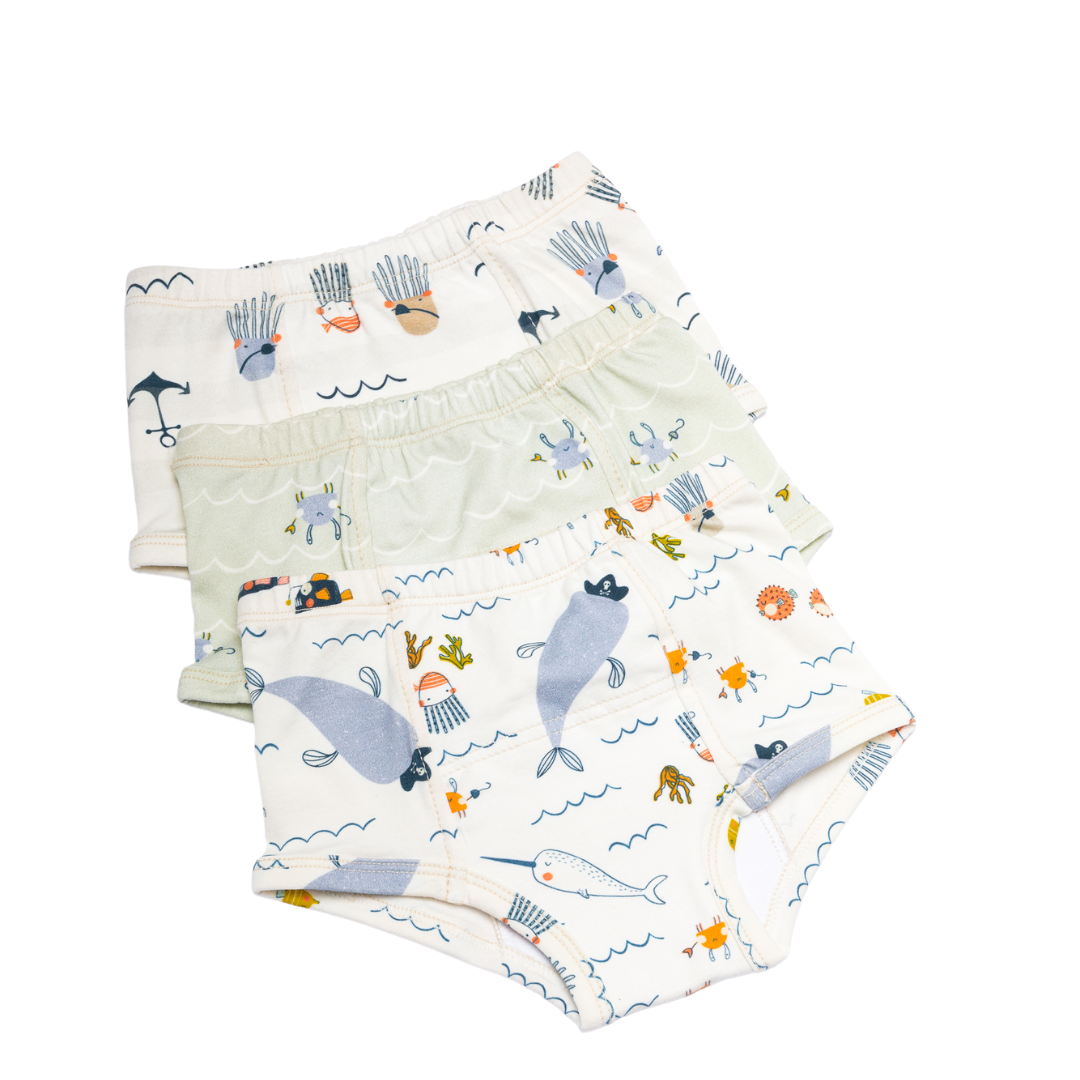 MooMoo Baby 4 Pack Potty Training Pants for Baby and Toddler Boys- 2T-M